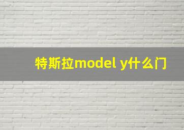 特斯拉model y什么门